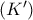 \left( {K'} \right)