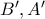 B',A' 