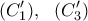 \displaystyle{(C'_1), \ \ (C'_3)} \displaystyle{(C'_1), \ \ (C'_3)}