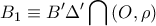 \displaystyle{B_{1}\equiv B'\Delta '\bigcap \left ( O,\rho \right )}