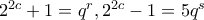 2^{2c}+1=q^r, 2^{2c}-1=5q^s