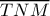 \displaystyle \overline {TNM} 