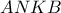 \displaystyle{ 
ANKB 
}