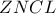 ZNCL