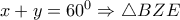 x+y=60^0\Rightarrow \triangle BZE
