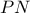  PN 
