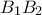 \displaystyle{B_1B_2}