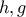 \displaystyle{h,g}