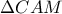 \Delta CAM