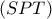 \left( {SPT} \right)