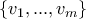 \left\{v_1,...,v_m\right\}
