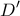 \displaystyle{ D'}