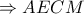 \Rightarrow  AECM