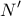 \displaystyle{N'}