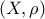 \displaystyle{(X,\rho)}
