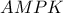 AMPK