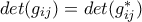 det(g_{ij})=det(g^{*}_{ij})