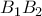 {{B}_{1}}{{B}_{2}}
