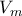 V_{m}