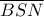 \overline {BSN}