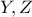Y,Z