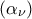 \left(\alpha _{\nu } \right)