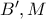 B', M