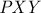 𝑃𝑋𝑌