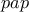 pap