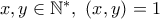 x,y \in \Bbb{N}^*, \ (x,y)=1