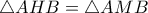 \triangle AHB = \triangle AMB
