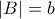 |B| = b