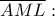 \displaystyle \overline {AML}:
