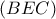 \left ( BEC \right )