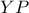 YP