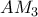 AM_3