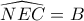\widehat {NEC} = B