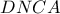 DNCA