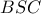 \displaystyle{BSC }