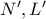 N{'}, L{'}