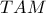 TAM