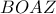  BOAZ
