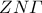ZN\varGamma