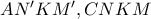 AN&rsquo;KM&rsquo;  ,  CNKM