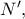 N',