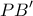\displaystyle{PB' }