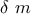 \displaystyle{\delta \,\, m}
