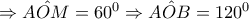 \Rightarrow \hat{AOM}=60^{0}\Rightarrow \hat{AOB}=120^{0}
