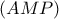 \displaystyle{(AMP)}
