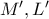{M}',{L}'
